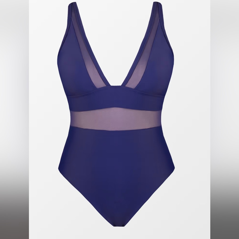 Summer Dreaming Plunge Mesh Plus Size One Piece Swimsuit